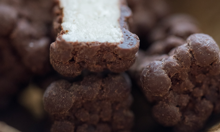 Kokostern med mørk chokolade, 250 gram, økologisk