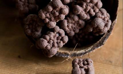 Kokostern med mørk chokolade, 250 gram, økologisk