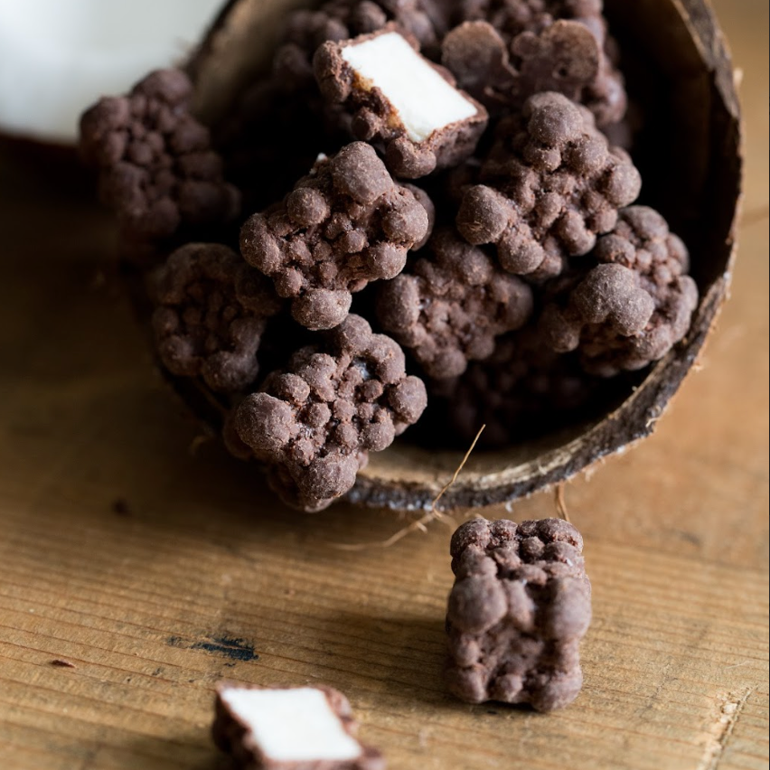 Kokostern med mørk chokolade, 250 gram, økologisk