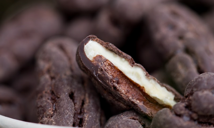 Pekannødder med mørk chokolade og sydesalt, 250 gram, økologisk