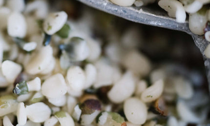 Hampefrø, afskallede, 1 kg, økologiske