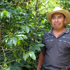 Guatemala, hele kaffebønner, 1 kg, espresso, mørkristet, økologisk