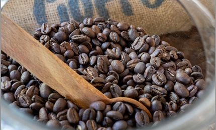 Hele kaffebønner, 4 x 100 gram, økologisk (mellem og lys risteprofil)