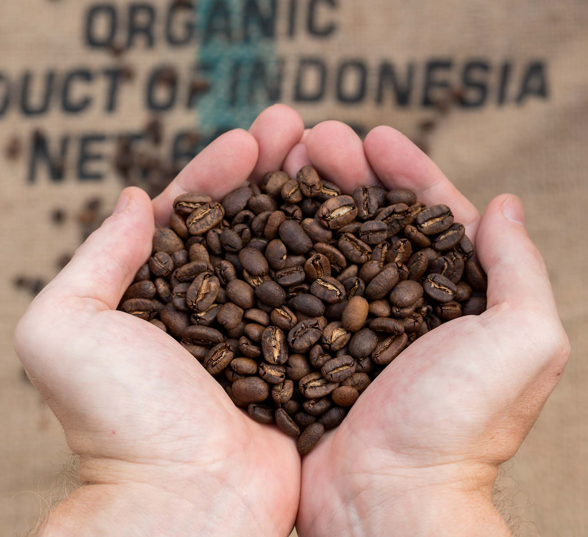 Indonesien, hele kaffebønner, 1 kg, mellemristet, økologisk