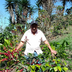 Mexico, hele kaffebønner, 1 kg, espresso, mørkristet, økologisk