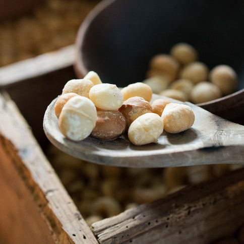 Saltristede Macadamianødder, 500 gram, økologiske