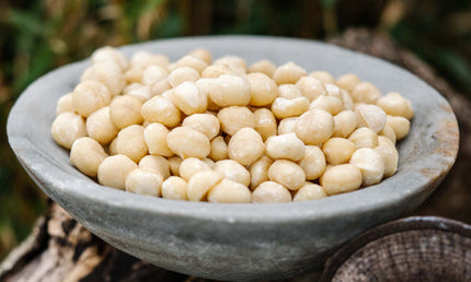 Macadamianødder, 500 gram, økologiske