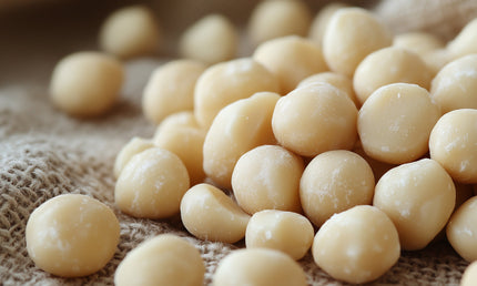 Macadamianødder, 500 gram, økologiske