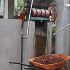 Guatemala, hele kaffebønner, 1 kg, espresso, mørkristet, økologisk