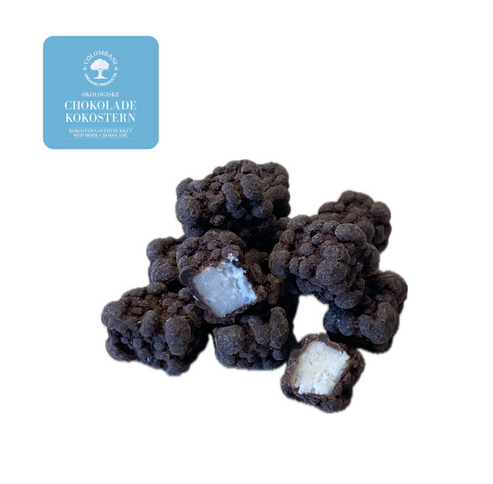 Kokostern med mørk chokolade, 250 gram, økologisk