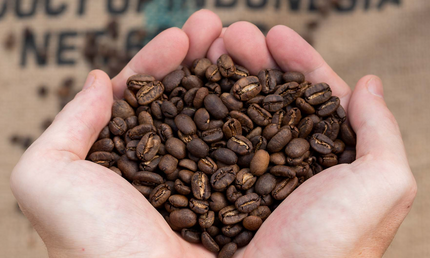 Indonesien, hele kaffebønner, 1 kg, mellemristet, økologisk