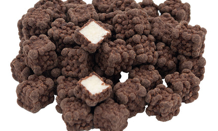 Kokostern med mørk chokolade, 250 gram, økologisk