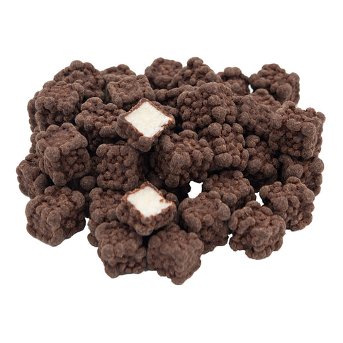Kokostern med mørk chokolade, 250 gram, økologisk