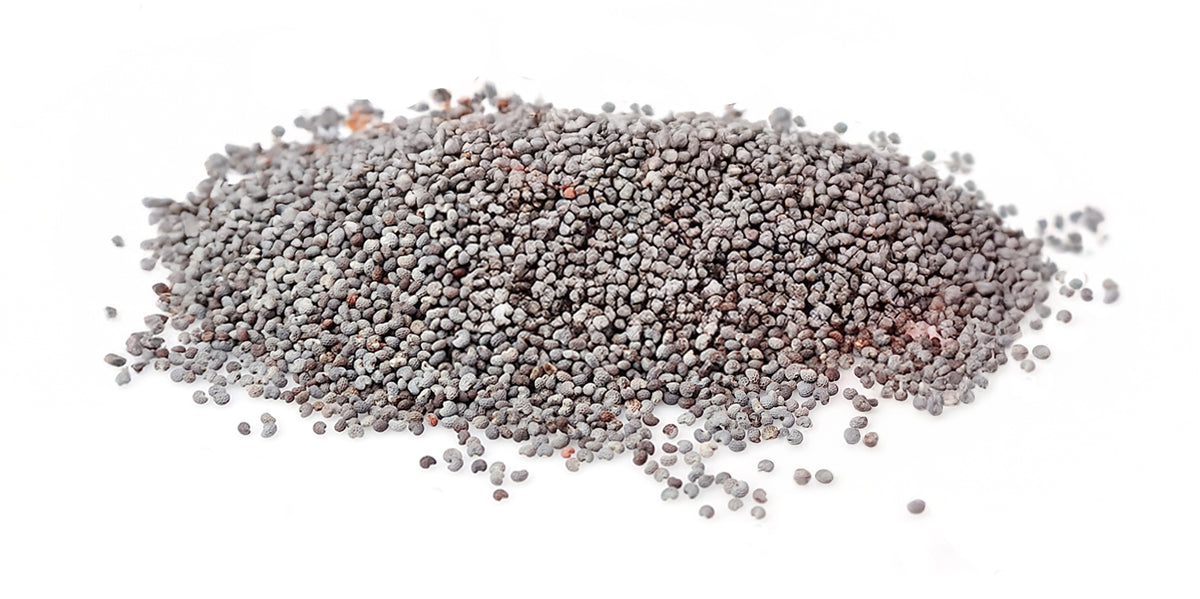 Blå birkes, 1 kg, økologiske