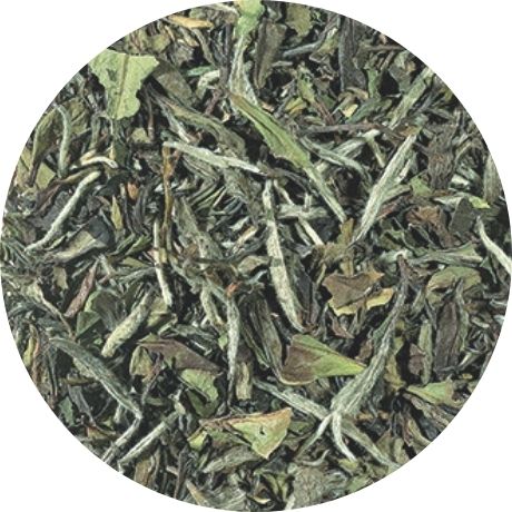 Hvid te, Pai Mu tan, 150 gram, økologisk