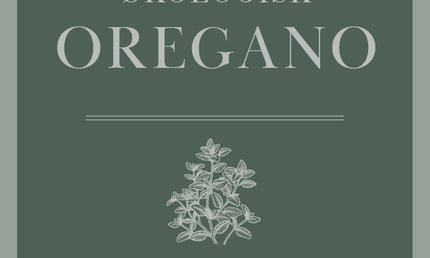 Oregano, 75 gram, økologisk